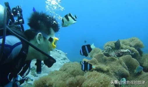 三亚哪里适合下海