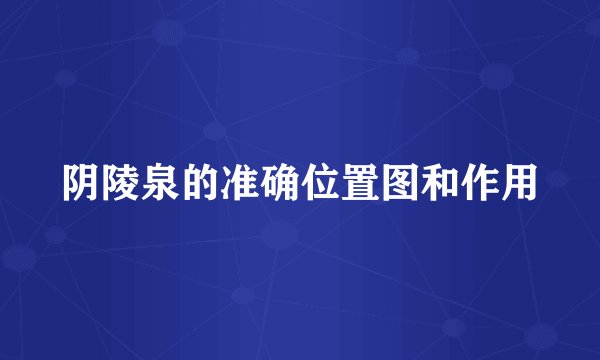 阴陵泉的准确位置图和作用