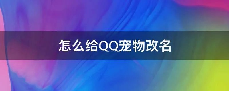 怎么给QQ宠物改名