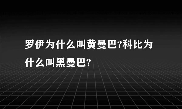 罗伊为什么叫黄曼巴?科比为什么叫黑曼巴?