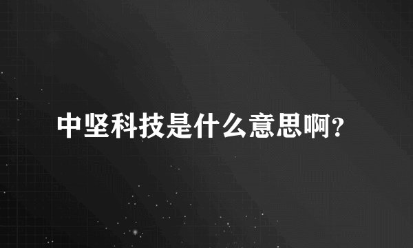 中坚科技是什么意思啊？