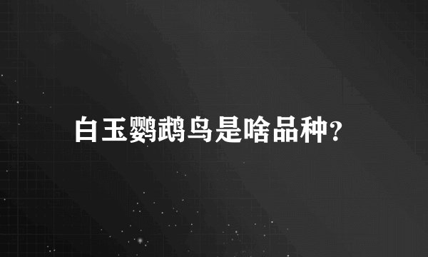 白玉鹦鹉鸟是啥品种？