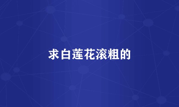 求白莲花滚粗的