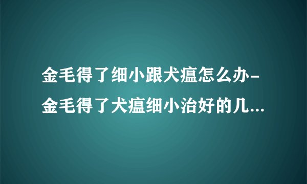 金毛得了细小跟犬瘟怎么办-金毛得了犬瘟细小治好的几率大吗？