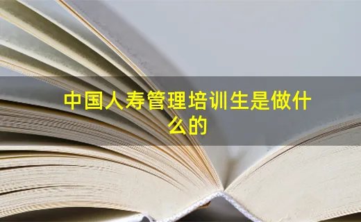 中国人寿管理培训生是做什么的