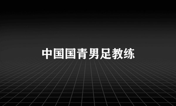 中国国青男足教练