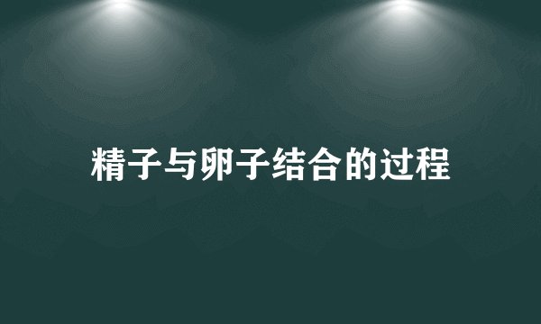 精子与卵子结合的过程