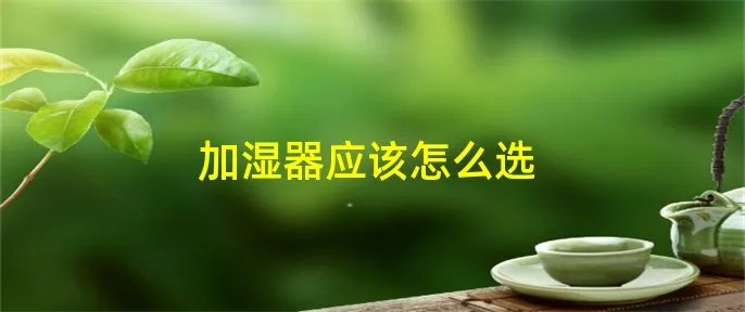 加湿器应该怎么选