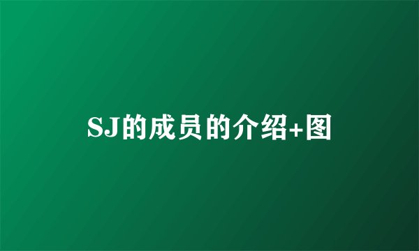 SJ的成员的介绍+图