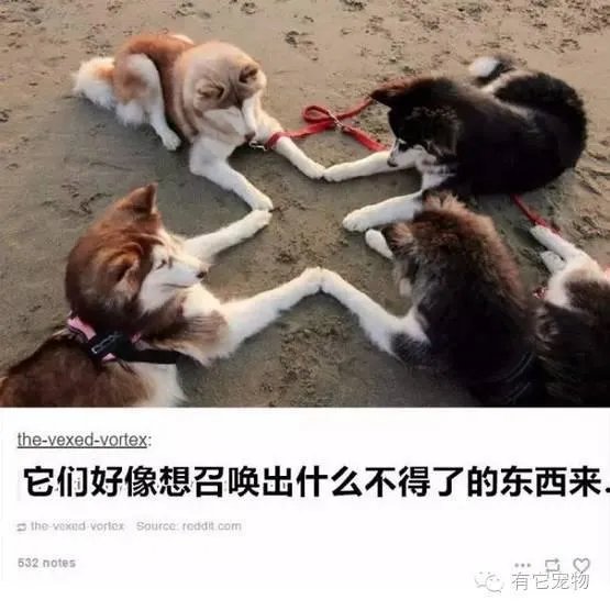 最惊艳的图片丽江
