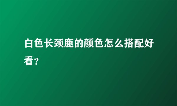 白色长颈鹿的颜色怎么搭配好看？