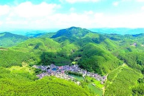 樟字换部首组词，急