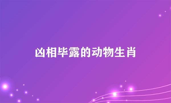 凶相毕露的动物生肖
