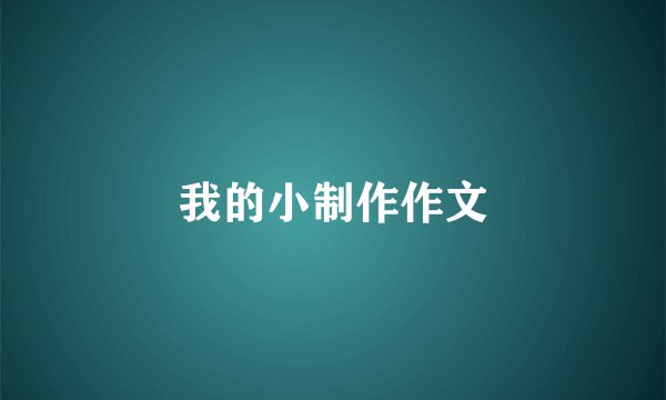 我的小制作作文