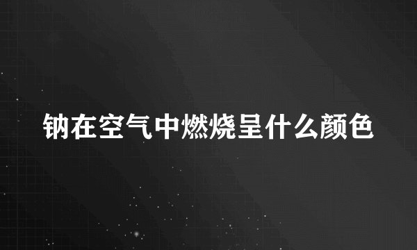 钠在空气中燃烧呈什么颜色