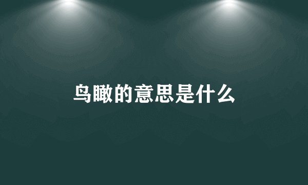 鸟瞰的意思是什么