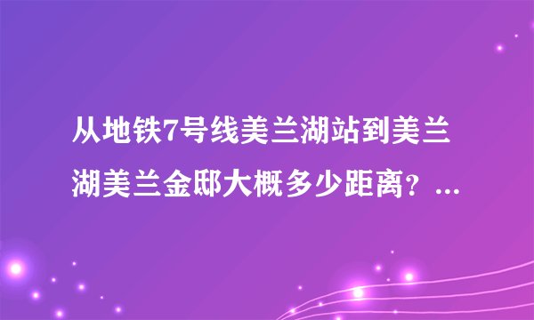 从地铁7号线美兰湖站到美兰湖美兰金邸大概多少距离？有公交车吗？地铁7号线哪个站下车到美兰金邸最近呢？
