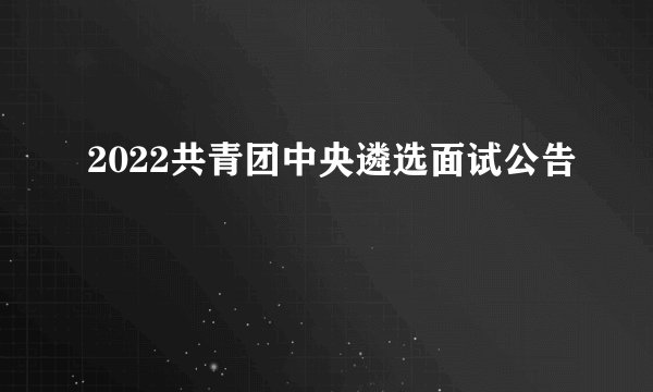 2022共青团中央遴选面试公告