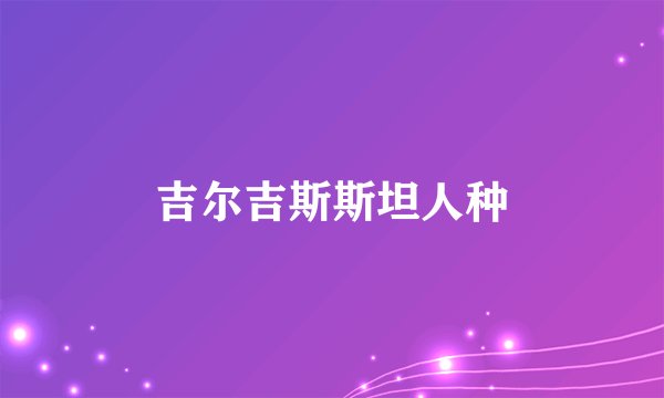 吉尔吉斯斯坦人种