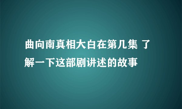 曲向南真相大白在第几集 了解一下这部剧讲述的故事