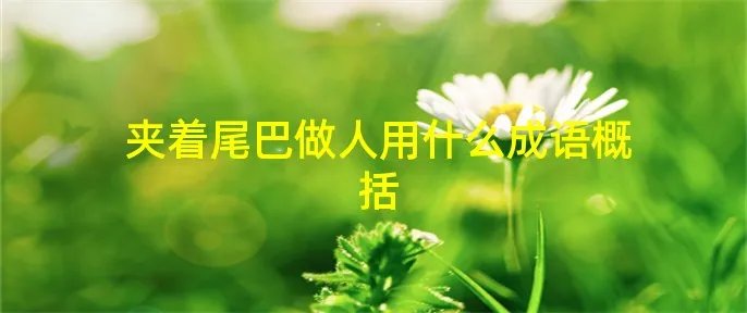 夹着尾巴做人用什么成语概括