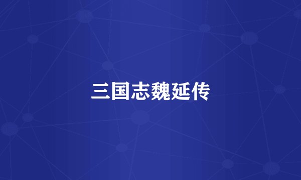 三国志魏延传