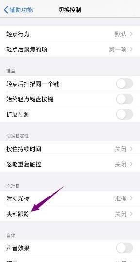 苹果头部跟踪怎么用