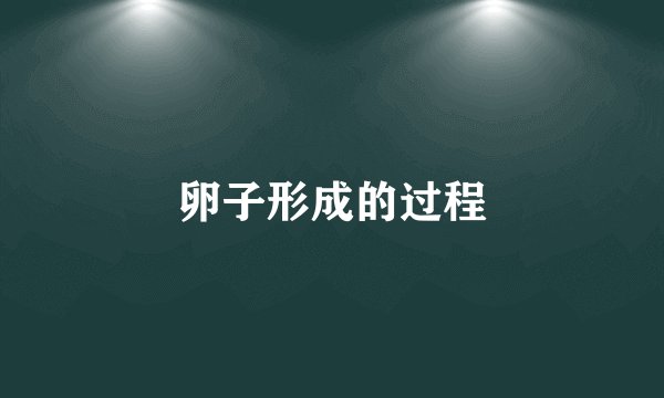 卵子形成的过程