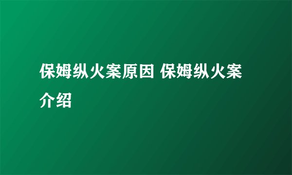 保姆纵火案原因 保姆纵火案介绍