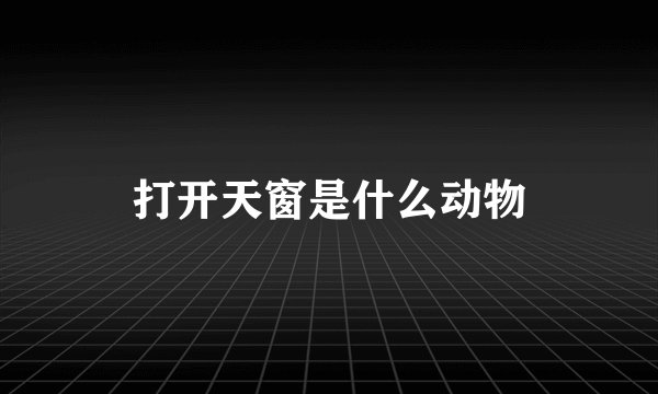 打开天窗是什么动物