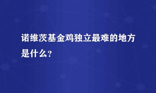 诺维茨基金鸡独立最难的地方是什么？