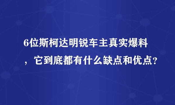 6位斯柯达明锐车主真实爆料，它到底都有什么缺点和优点？