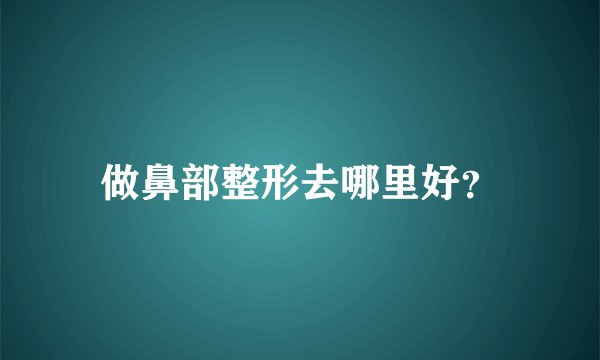 做鼻部整形去哪里好？