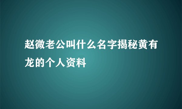 赵微老公叫什么名字揭秘黄有龙的个人资料