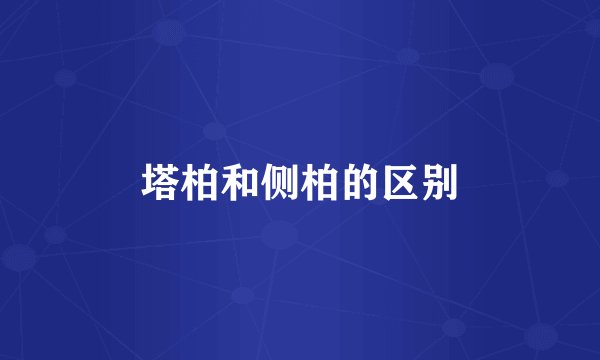 塔柏和侧柏的区别