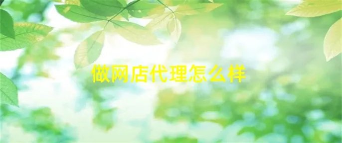 做网店代理怎么样