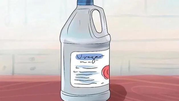 4种方法来过滤水