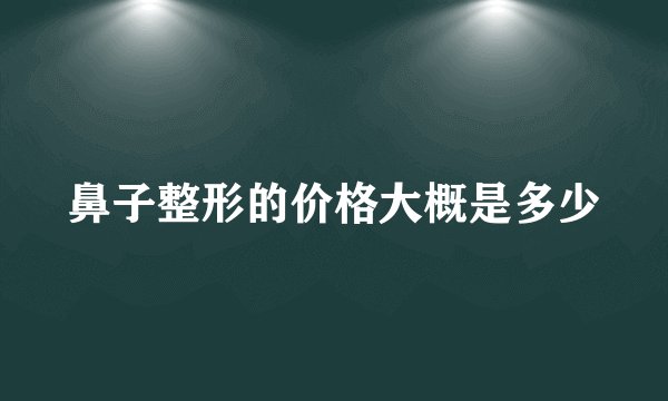 鼻子整形的价格大概是多少