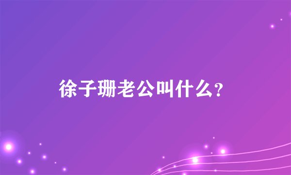徐子珊老公叫什么？