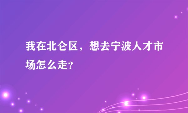 我在北仑区，想去宁波人才市场怎么走？