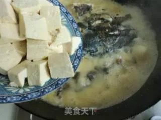 鱼头炖豆腐