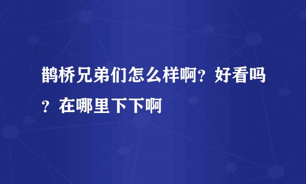 鹊桥兄弟们怎么样啊？好看吗？在哪里下下啊
