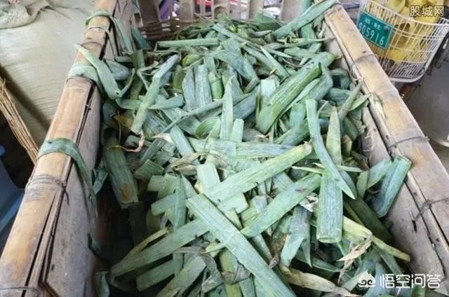 你怎么看“山东百余只羊疑吃“毒大葱”死亡，涉事种植户已抓获”？