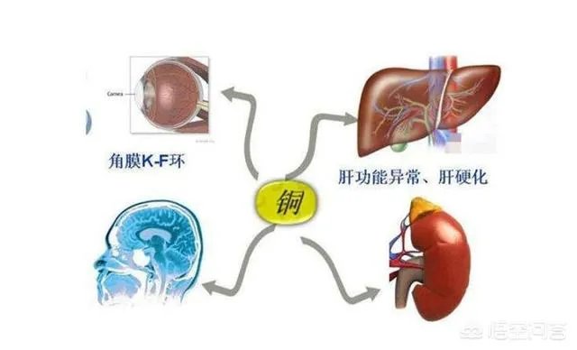 水龙头价格贵不贵水龙头价格大全?