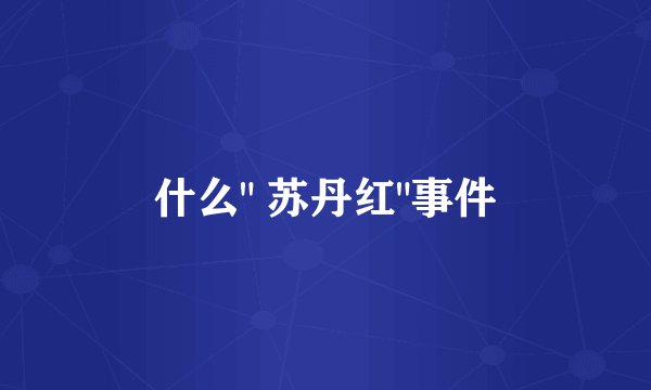 什么