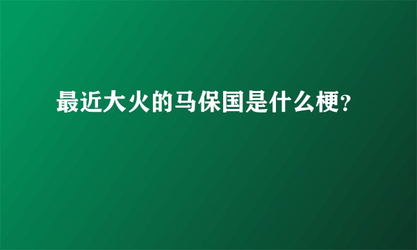 最近大火的马保国是什么梗？