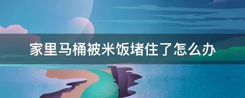 家里马桶被米饭堵住了怎么办