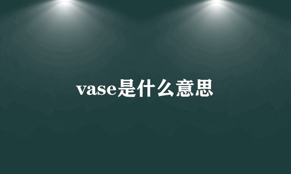 vase是什么意思