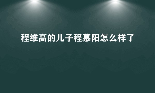 程维高的儿子程慕阳怎么样了