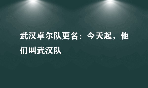 武汉卓尔队更名：今天起，他们叫武汉队